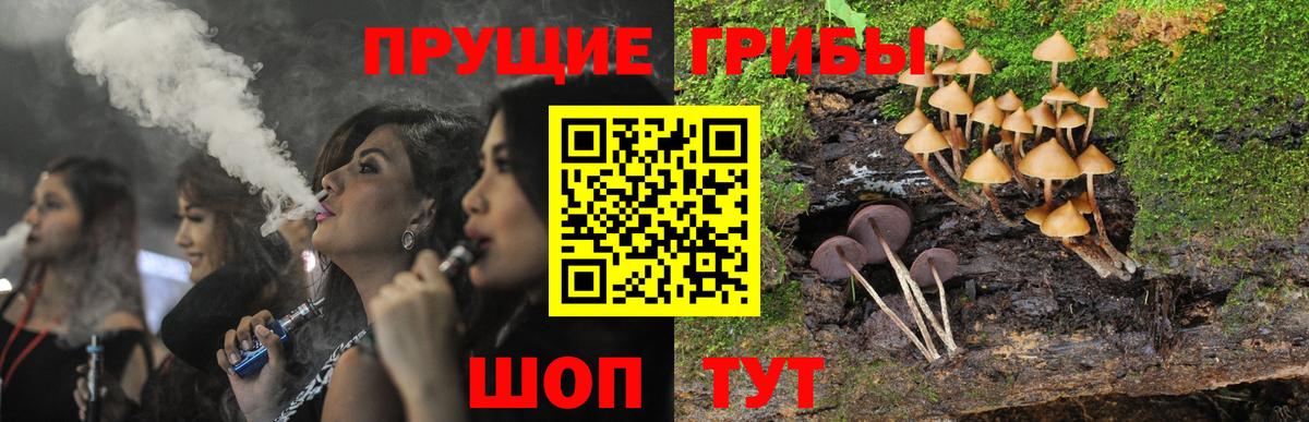 Галлюциногенные грибы Psilocybine cubensis Добрянка
