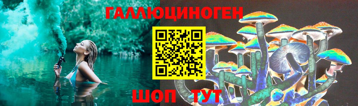 Добрянка  Псилоцибиновые грибы Magic Shrooms  Вход с VPN 